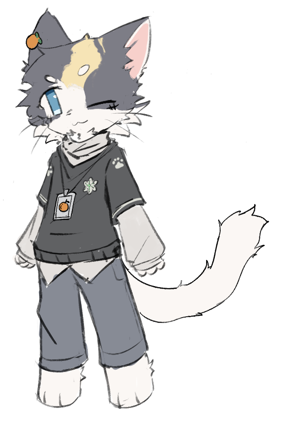 整体设定设想(概念图)